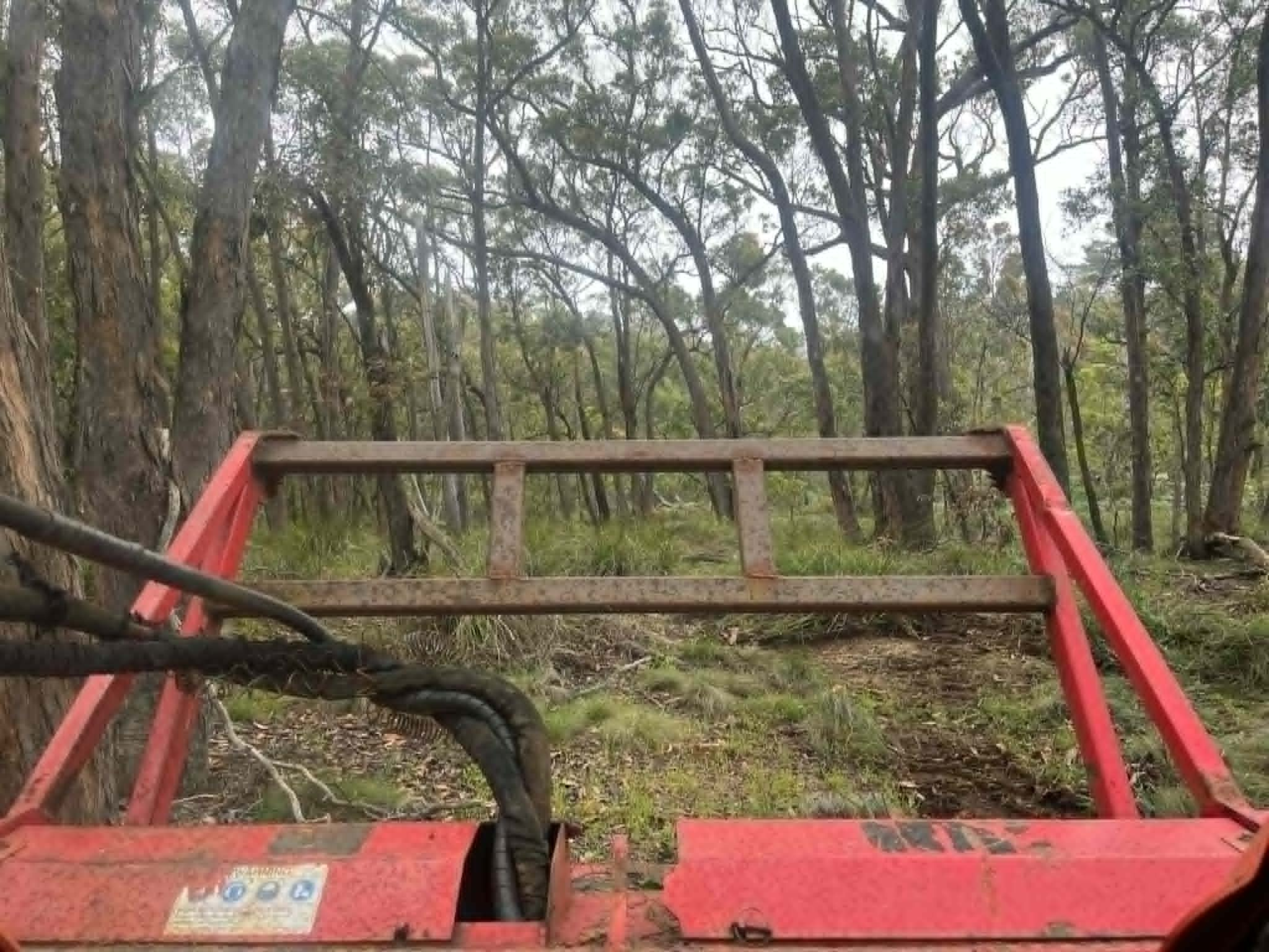 Operator View - Bush Clearing