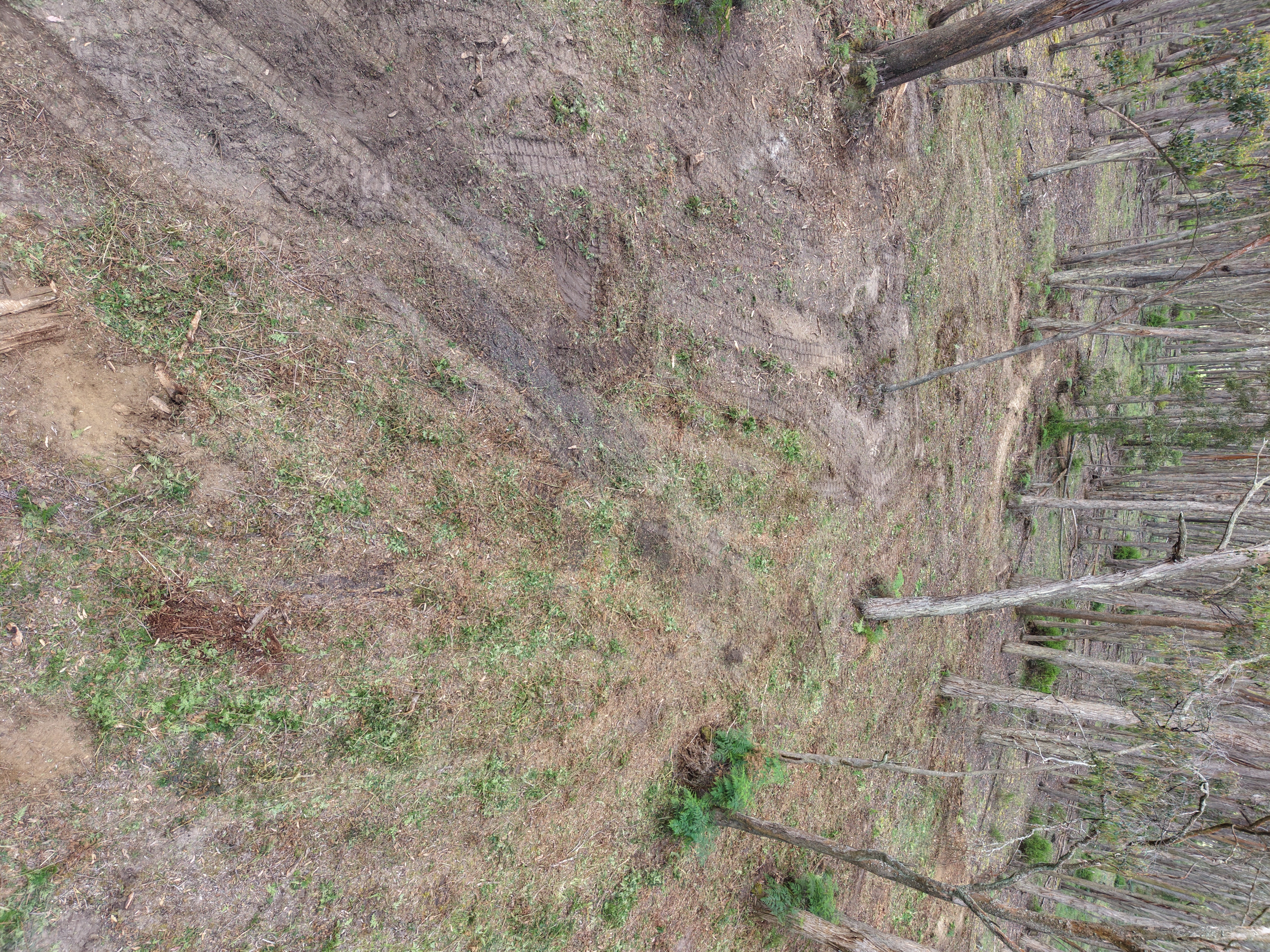 Completed Firebreak - Drone View