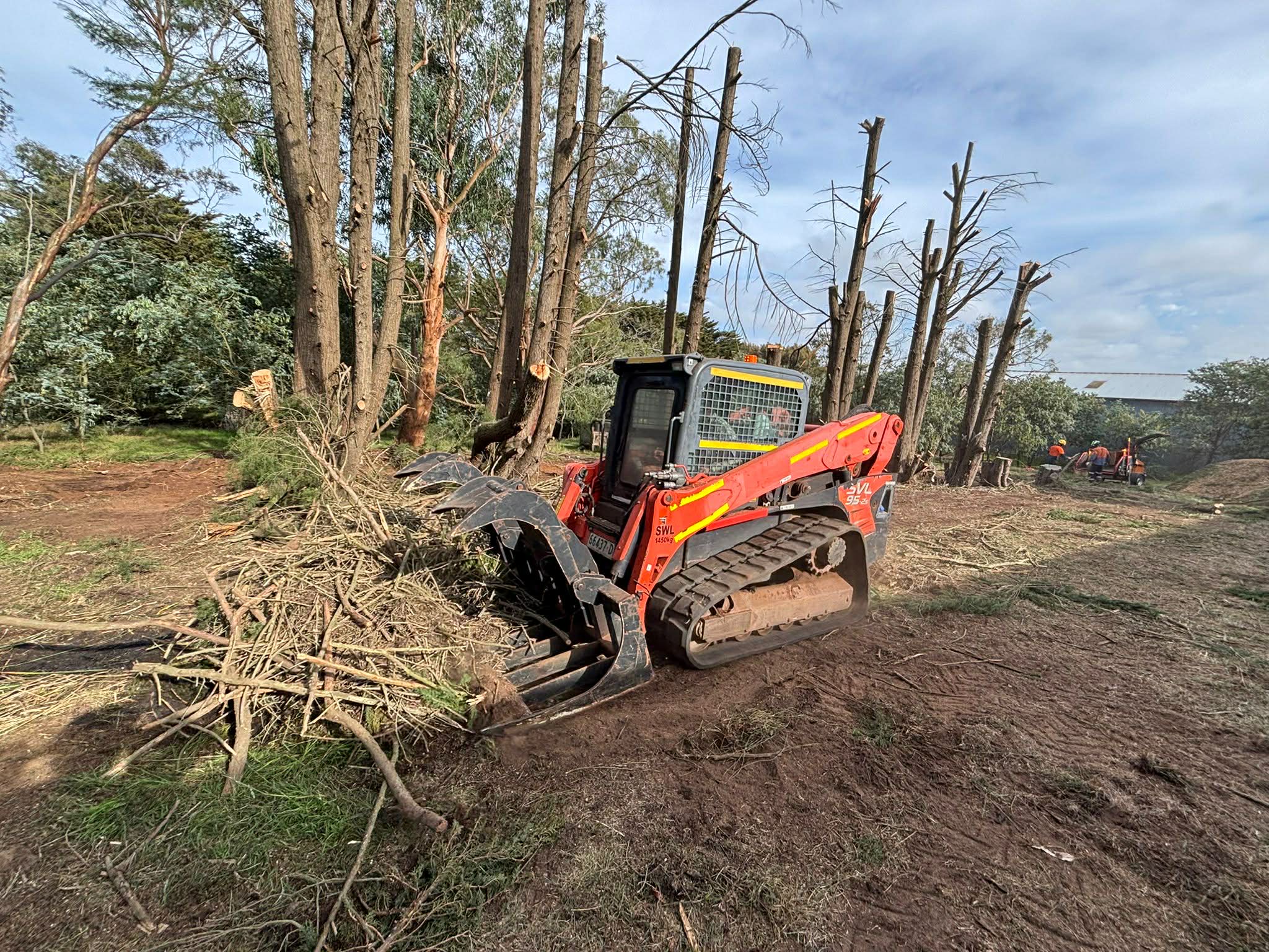 Skid steer with grapple bucket clearing fallen timber and branches — Gnawarre, Colac Otway