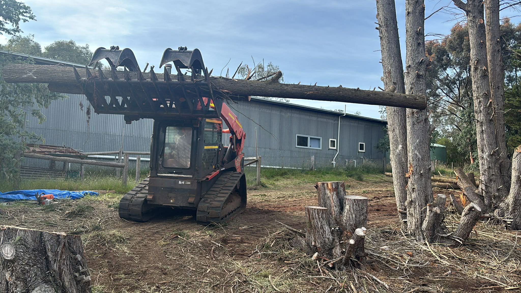 Skid steer lifting heavy cypress log during tree removal — Gnawarre, Colac Otway