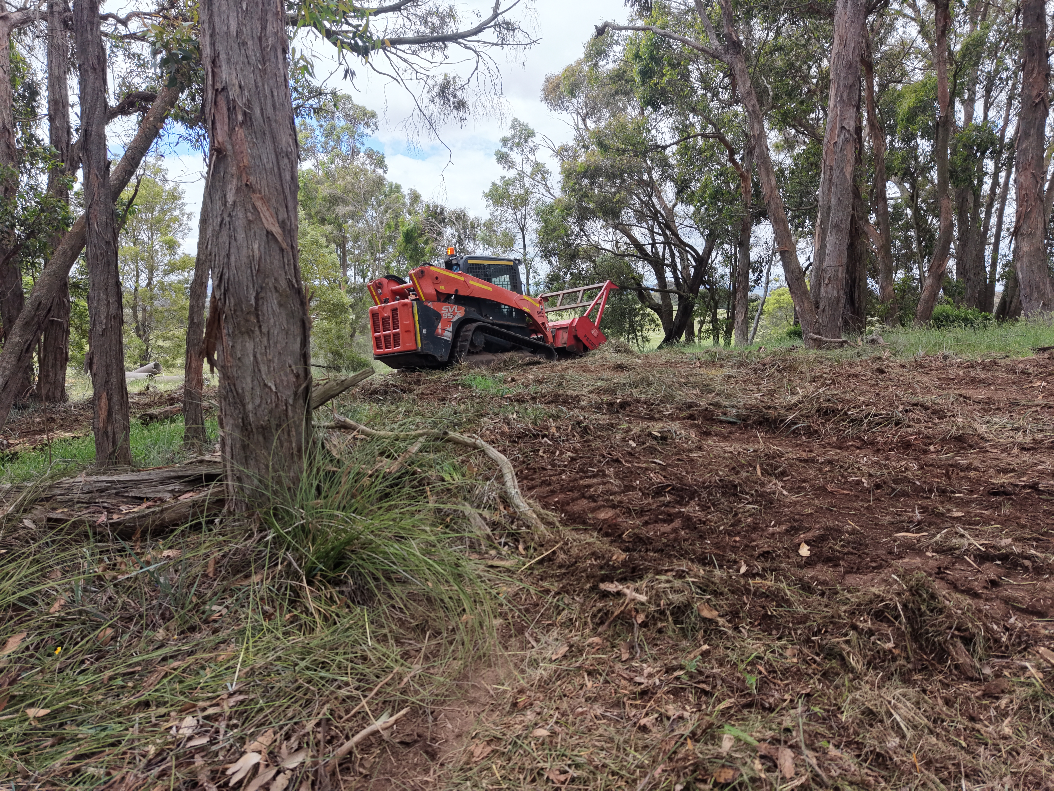 Forestry mulcher clearing bush in the Otways