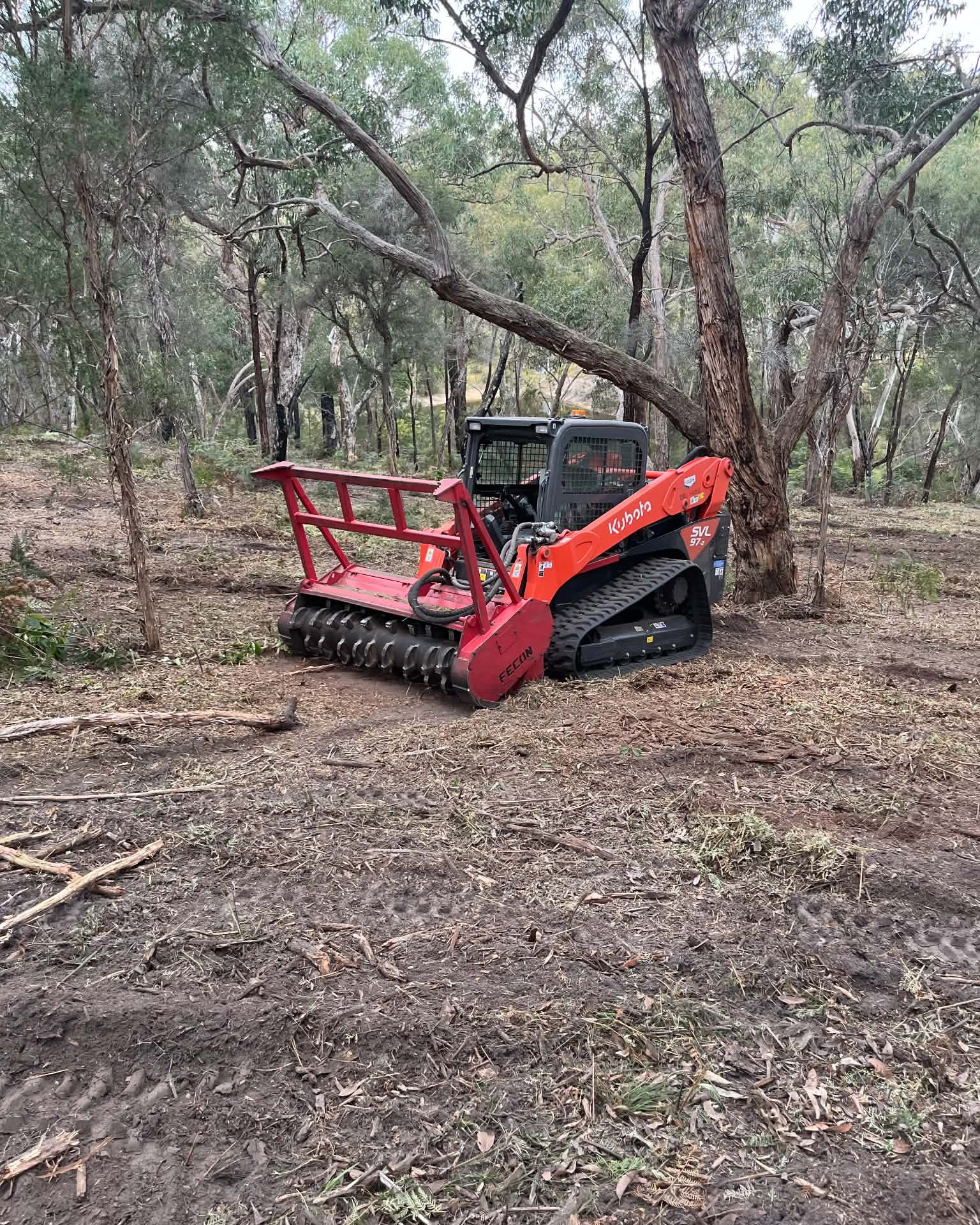 Kubota forestry mulcher among retained trees on the Aireys Inlet property