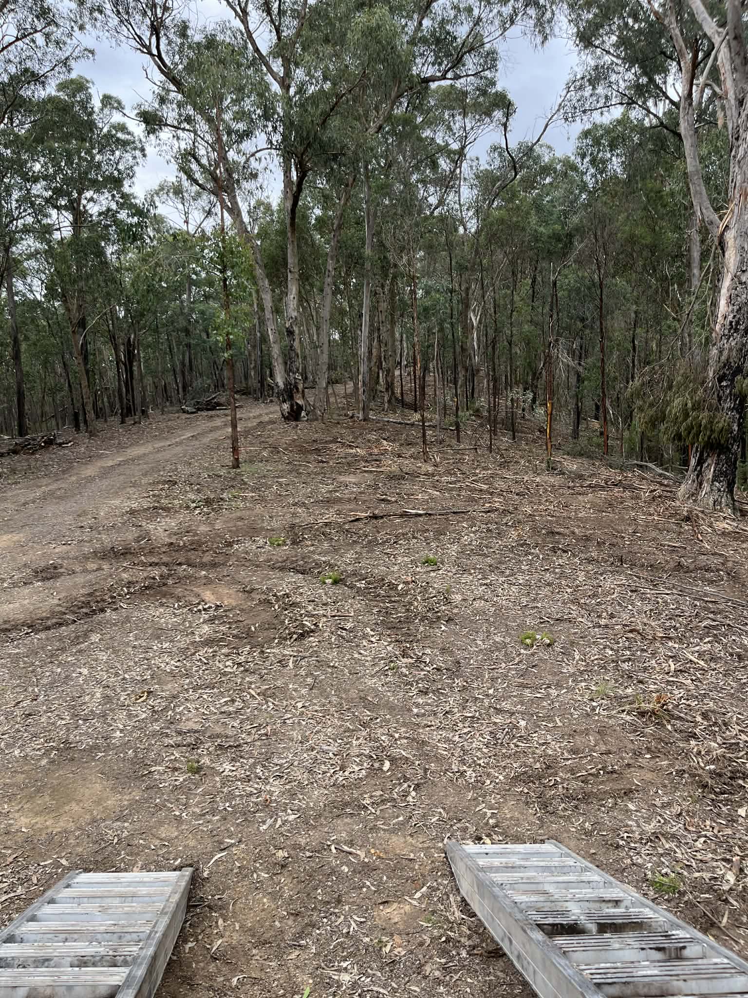 Cleared bush track through eucalyptus forest after forestry mulching — Victoria rural acreage property