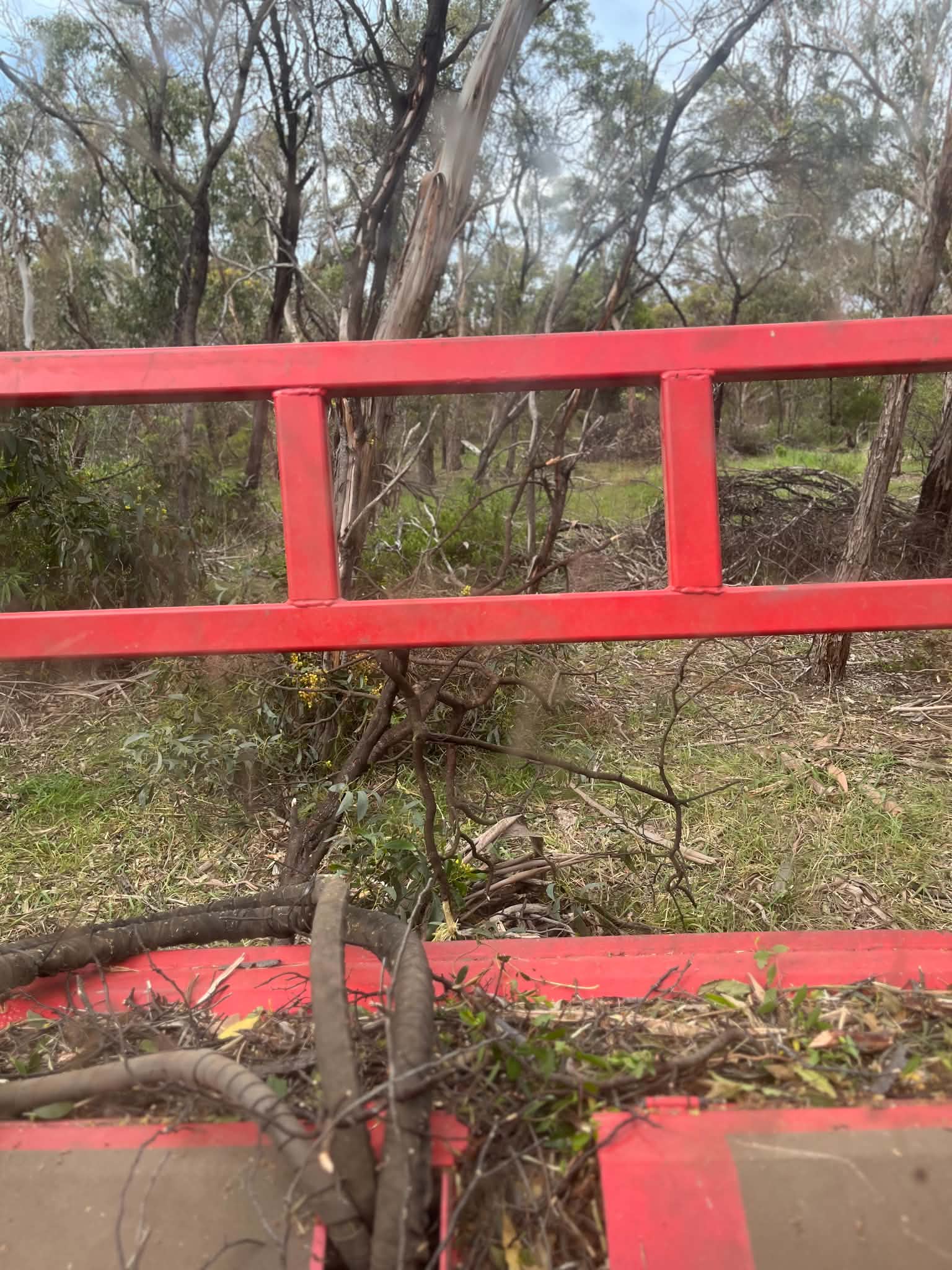 View from the mulcher while working selectively through vegetation near Bells Beach