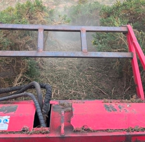Forestry mulcher working through thick gorse with fresh mulch and dust — mid-job progress on Surf Coast acreage