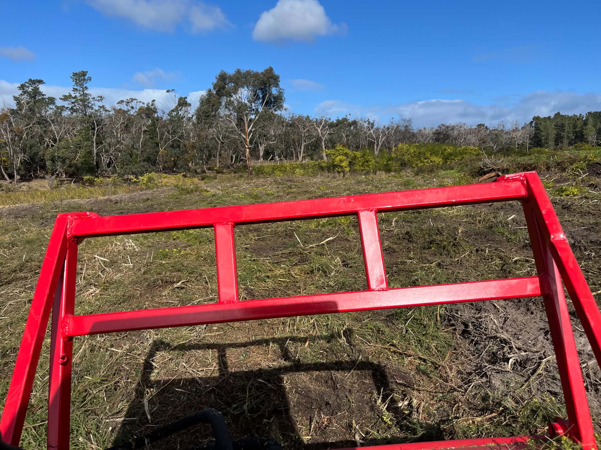 Farmland reopened after dense invasive weeds were mulched