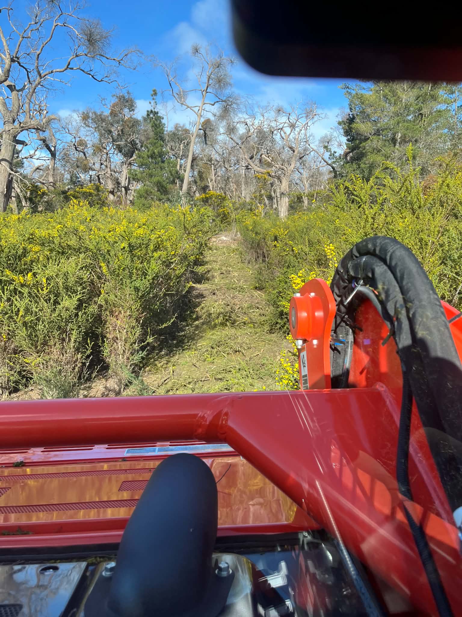 The forestry mulcher moving into dense invasive weeds to reopen the paddock