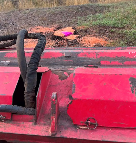 Large freshly cut stump on rural acreage before grinding, Surf Coast Victoria